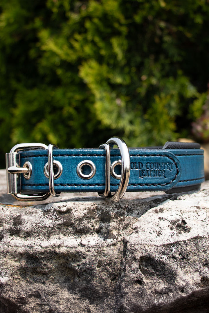 Artisan Series - Deluxe 1 inch wide Collar with Metal Font.