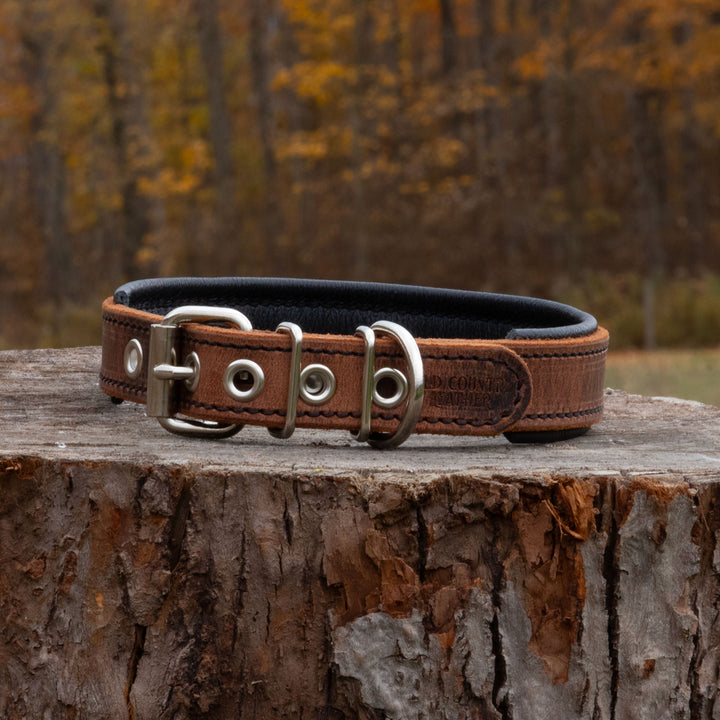 Heritage Series - Deluxe 1 inch wide Collar.