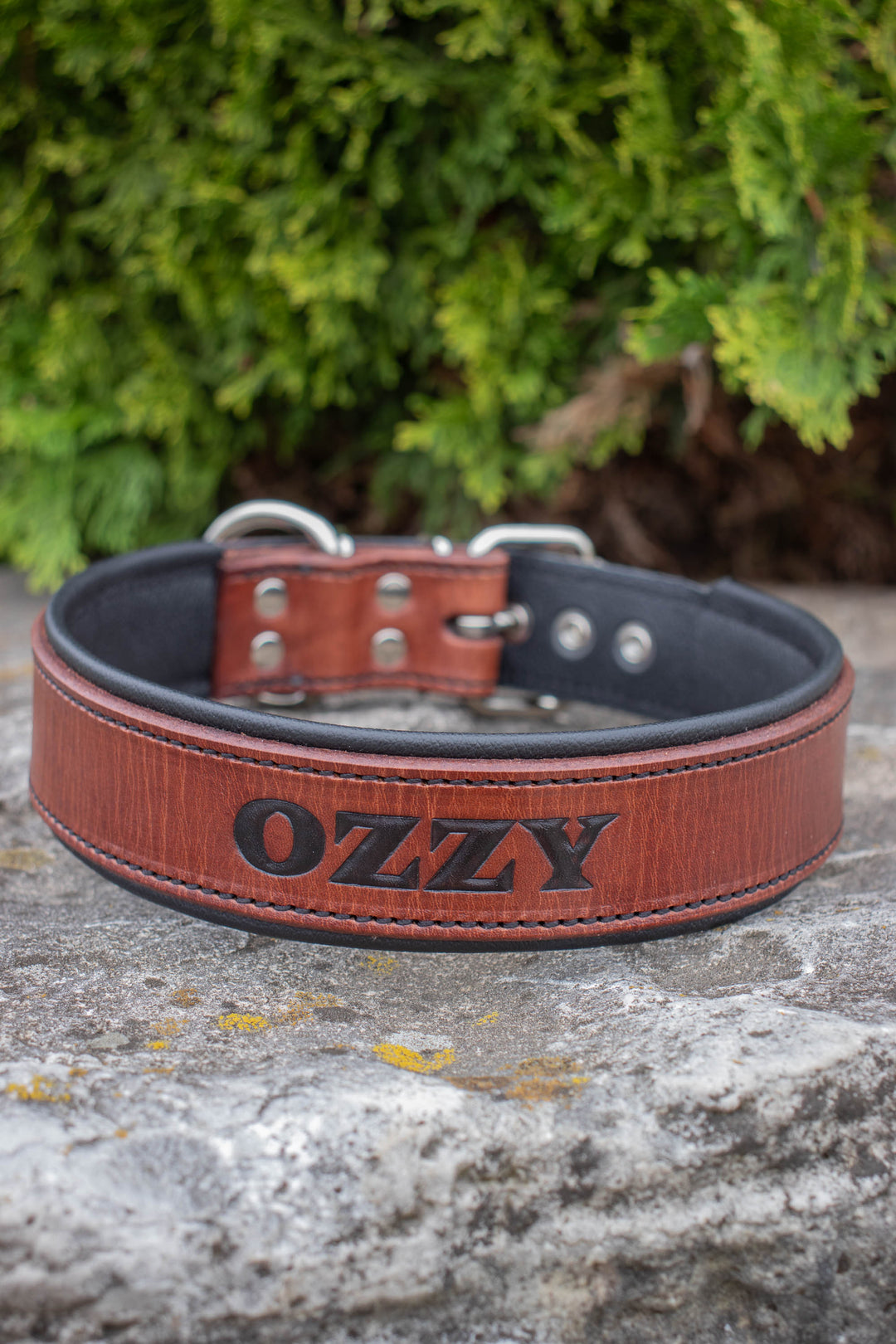 Artisan Series - Deluxe 1½ inch wide Collar with Font.