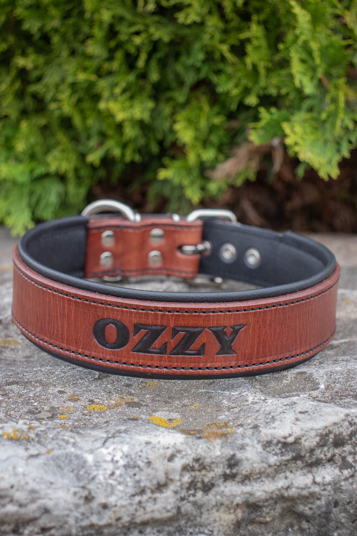 Artisan Series - Deluxe 1½ inch wide Collar with Font.