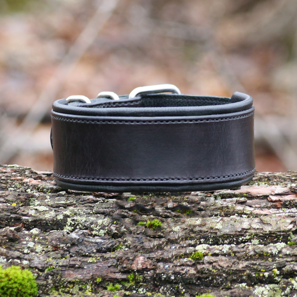 Artisan Series - Deluxe 2 inch wide Collar with No Font.