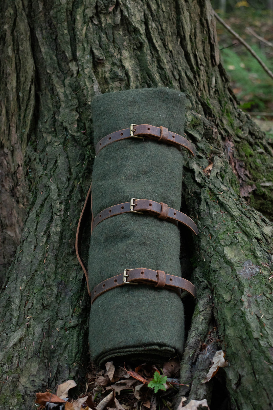 Blanket Strap Holder