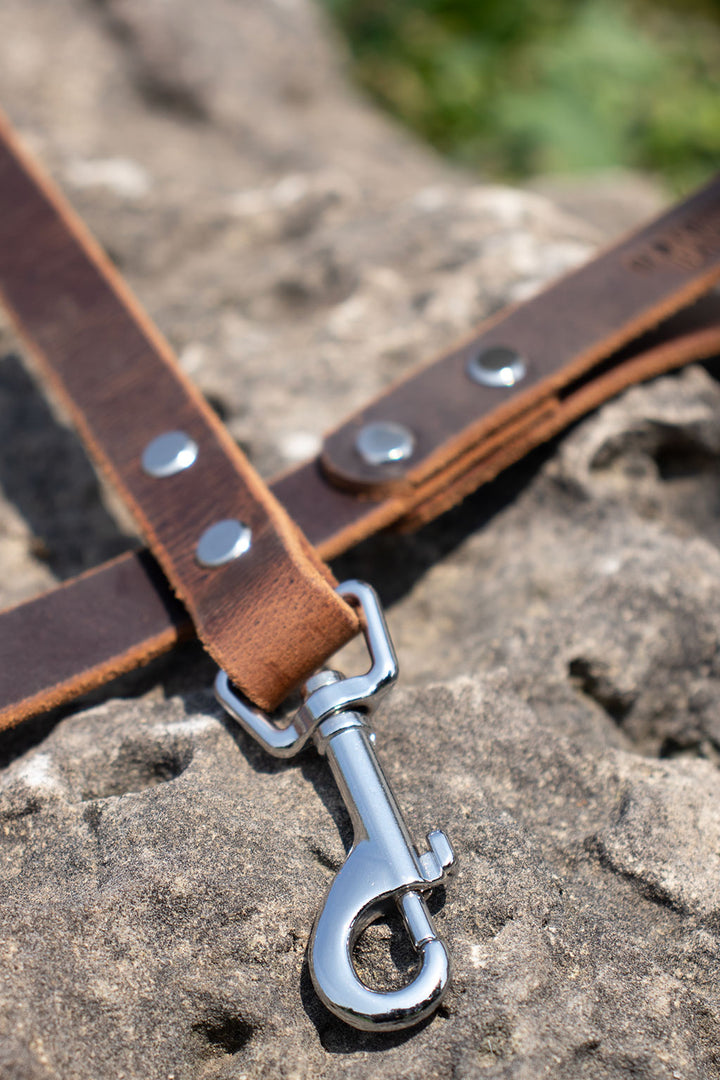 Heritage Series - Classic Leather Leash