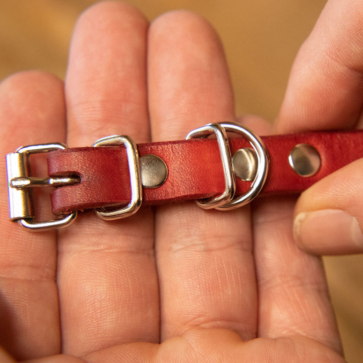 Artisan Series - Classic ½ inch wide collar