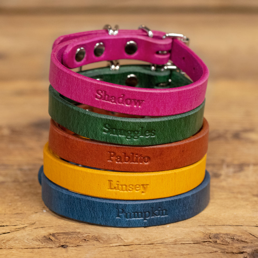 Artisan Series - Classic ½ inch wide collar.