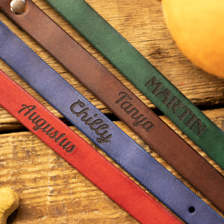 Artisan Series - Classic ½ inch wide collar