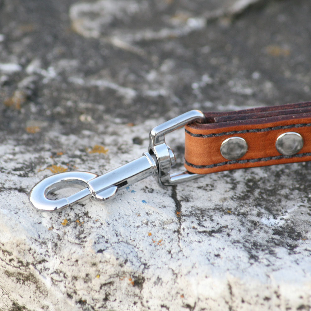 Artisan Series - Deluxe Leash Handle and snap