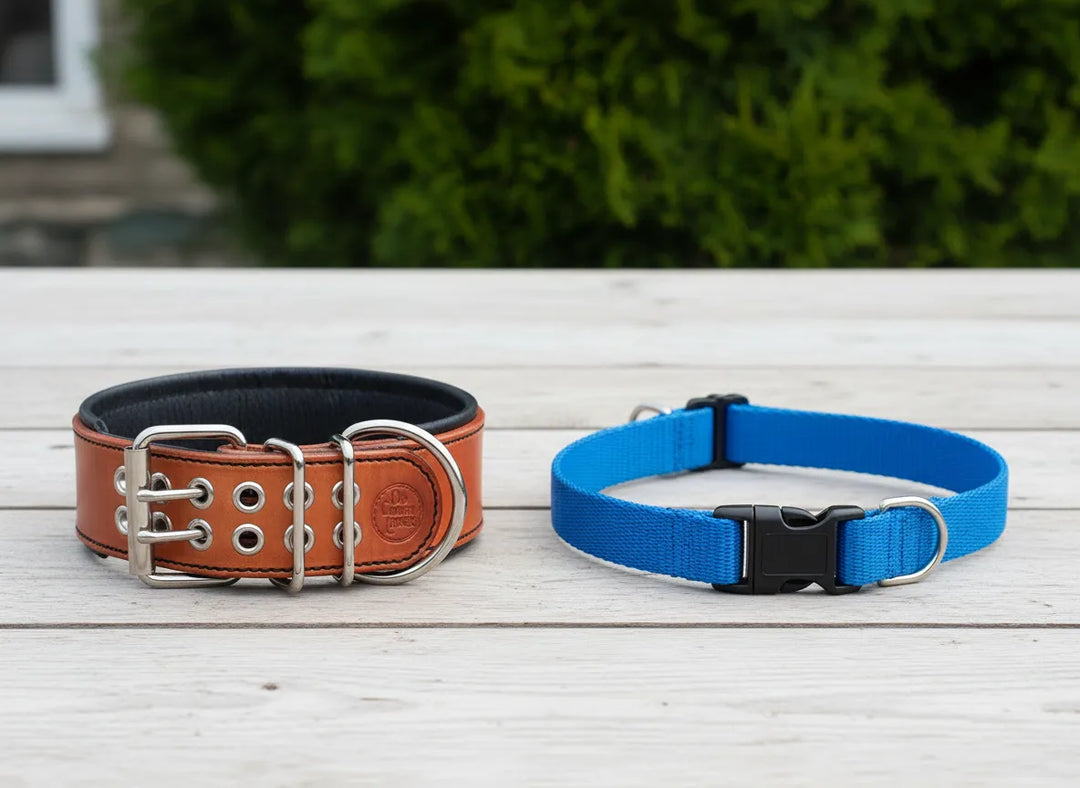 a leather collar made by old country leather side by side with a nylon collar 