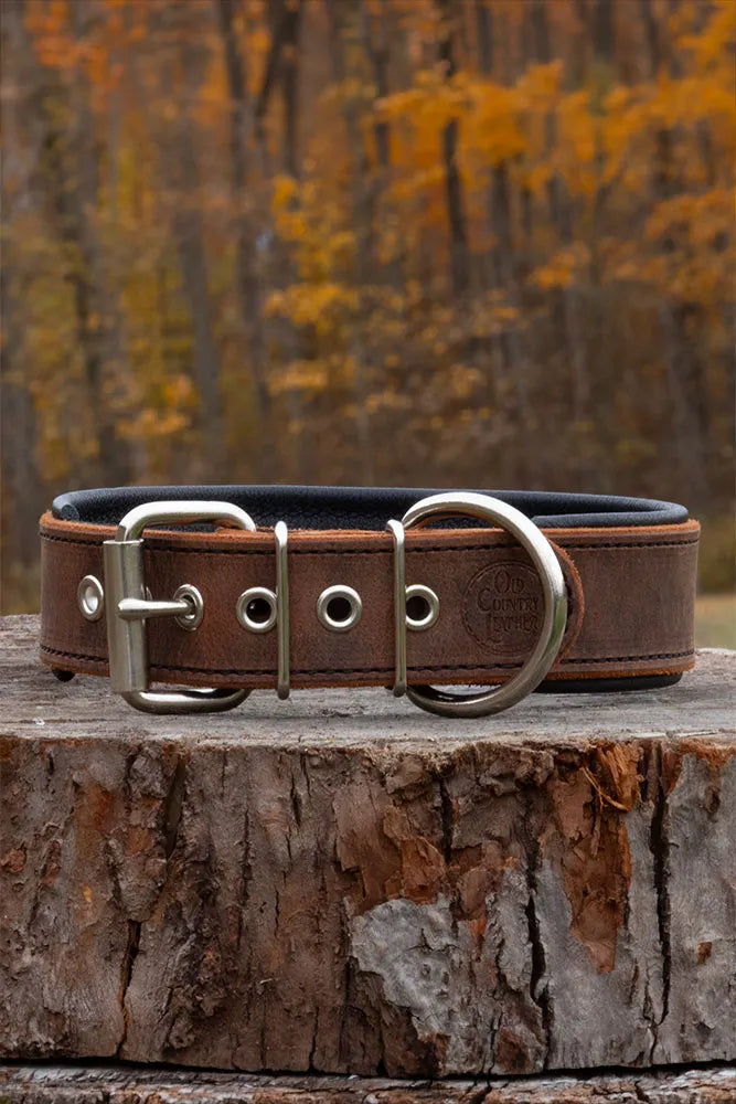 a Rustic dog collar on a log outdoors