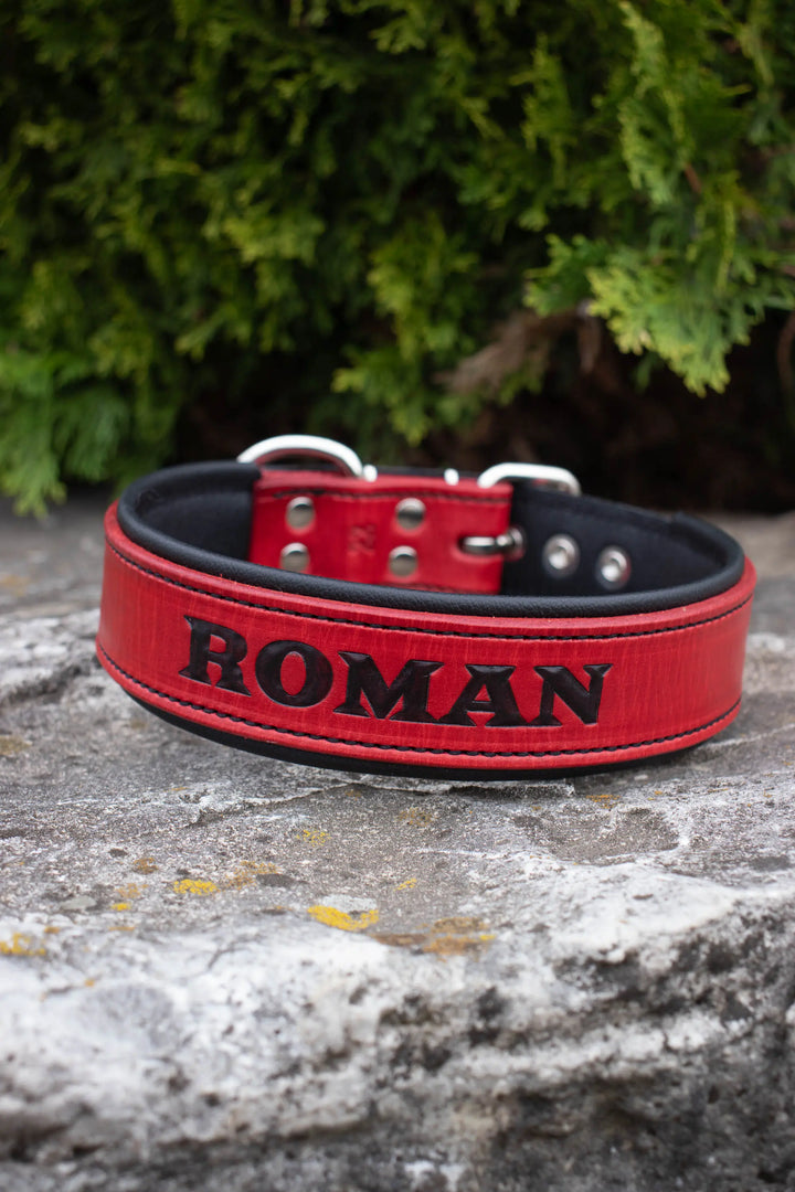 Artisan Series - Deluxe 1½ inch wide Collar with Font.