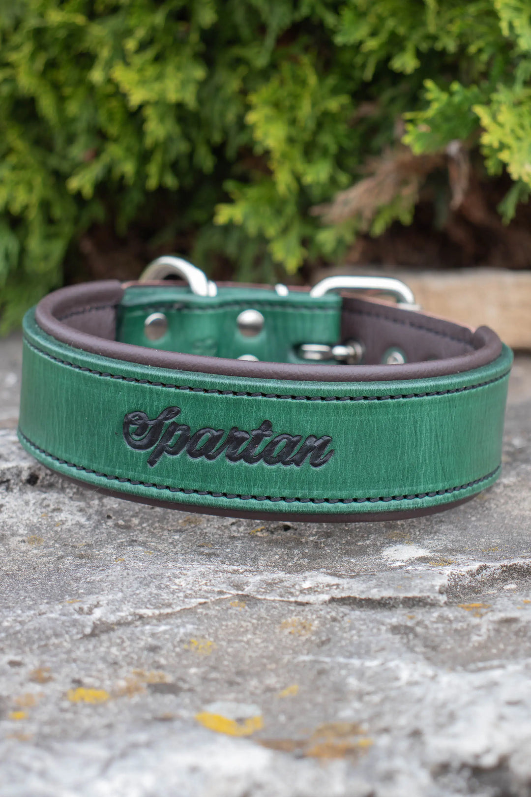 Artisan Series - Deluxe 1½ inch wide Collar with Font.