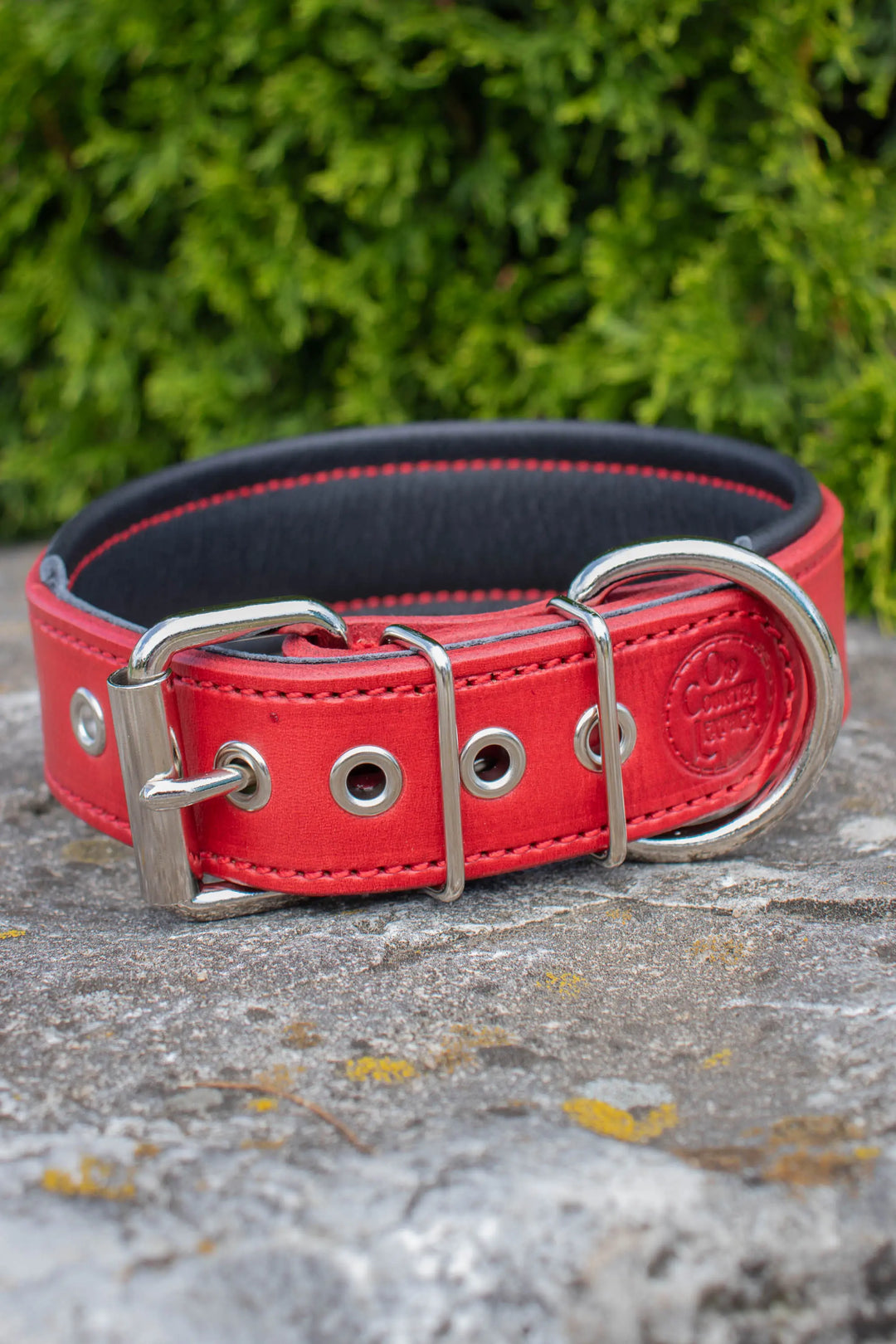 Artisan Series - Deluxe 1½ inch wide Collar with Font.