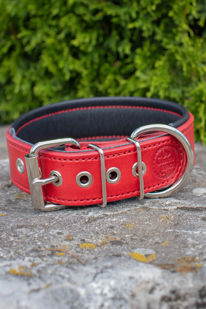 Artisan Series - Deluxe 1½ inch wide Collar with Font.