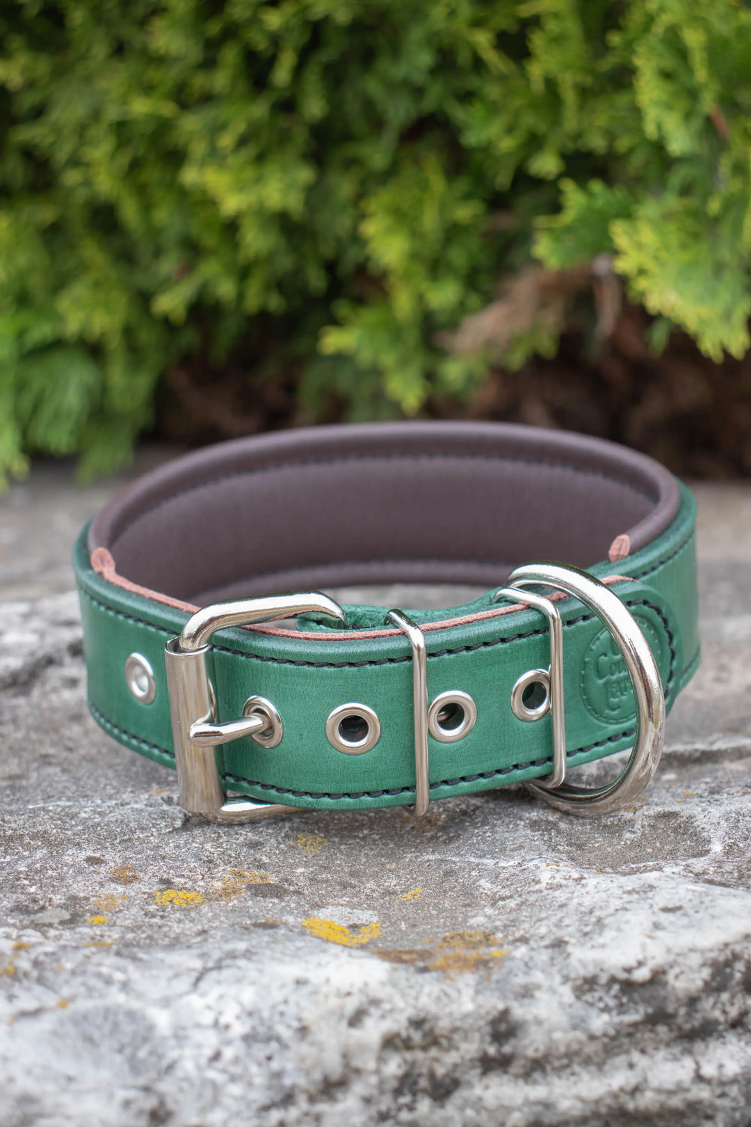 Artisan Series - Deluxe 1½ inch wide Collar with Font.