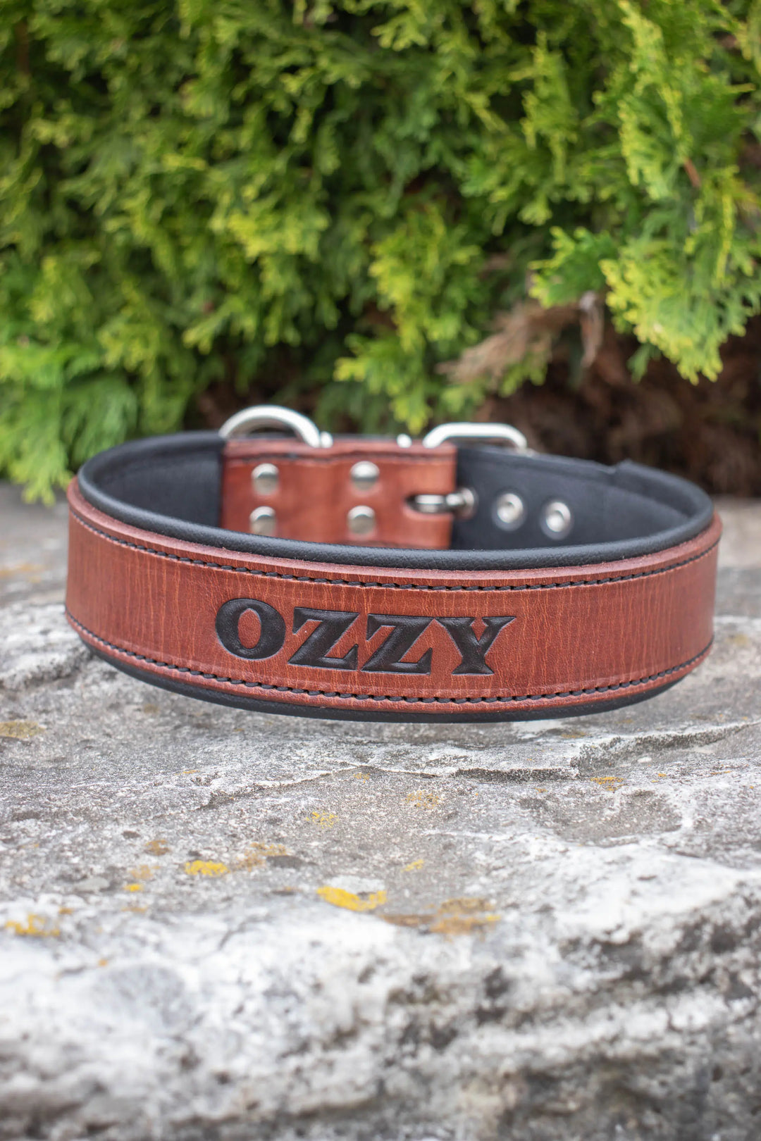Artisan Series - Deluxe 1½ inch wide Collar with Font.