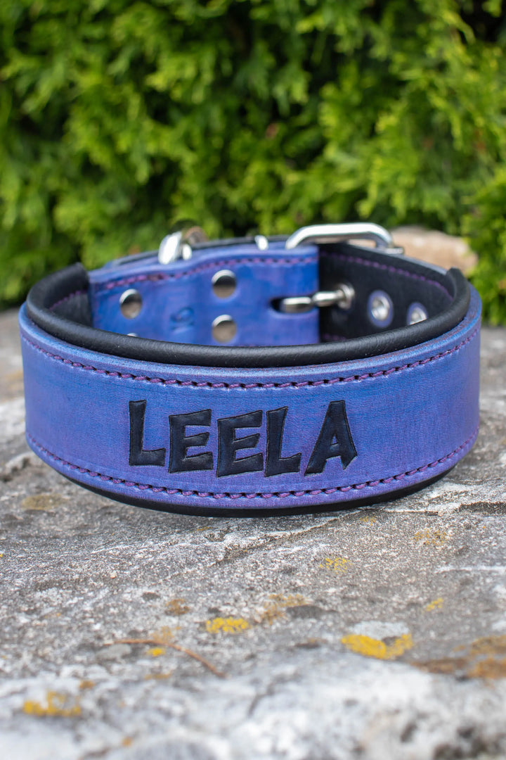 Artisan Series - Deluxe 1½ inch wide Collar with Font.