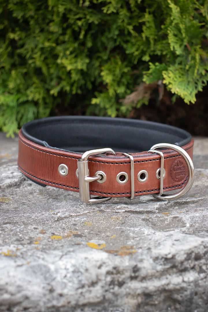 Artisan Series - Deluxe 1½ inch wide Collar with Font.