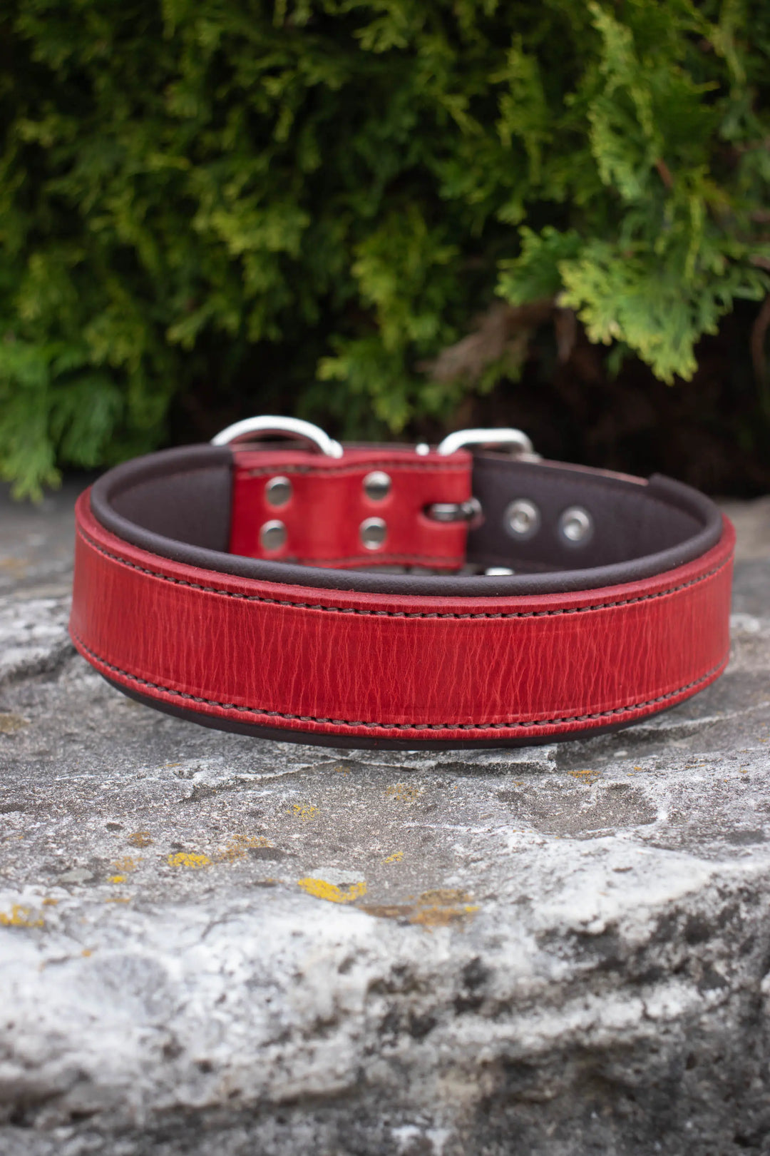 Artisan Series - Deluxe 1 ½ inch wide Collar with No Font