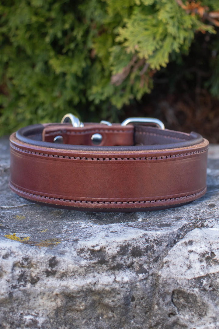Traditional Series - Deluxe 1½ inch wide Collar.