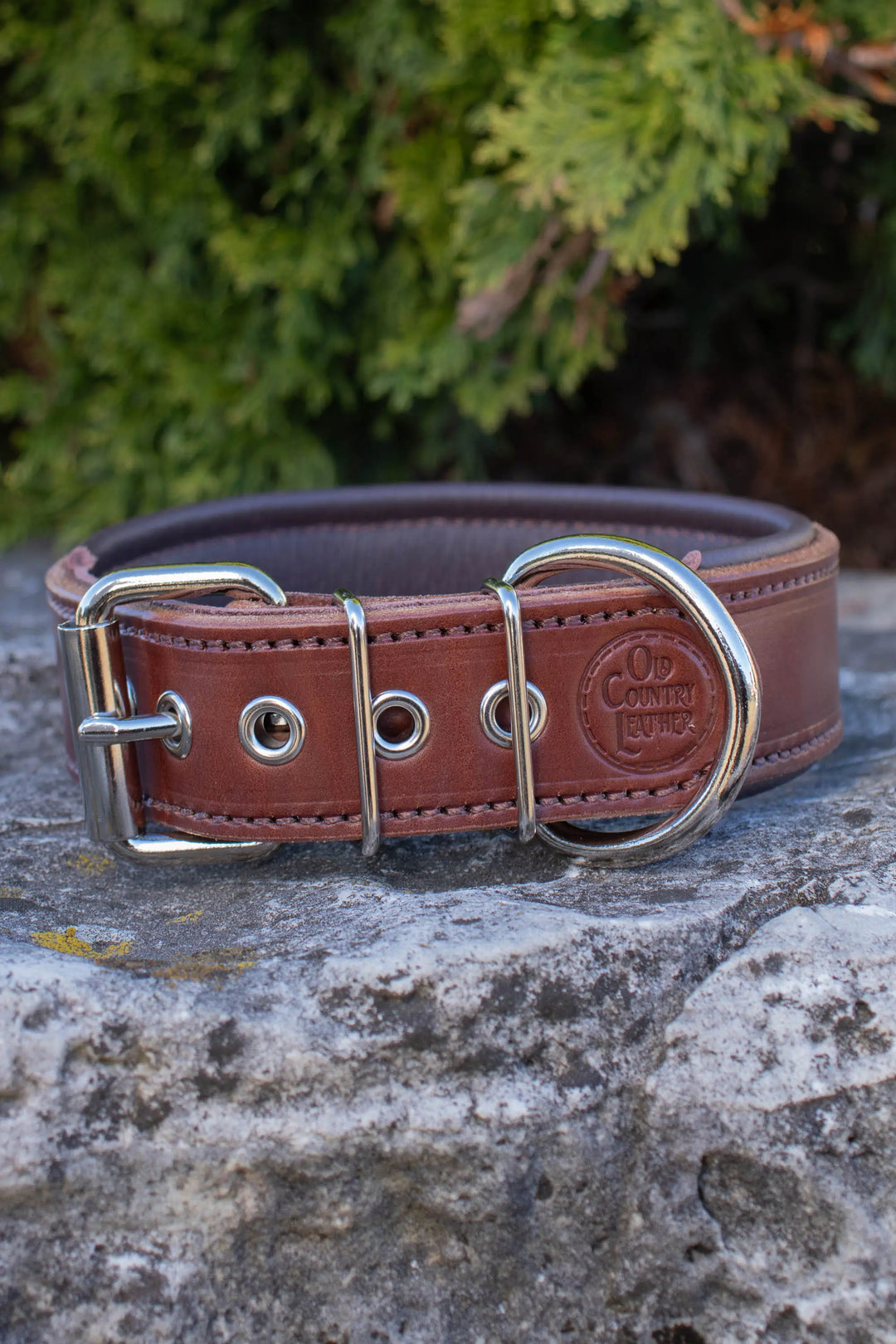 Traditional Series - Deluxe 1½ inch wide Collar.