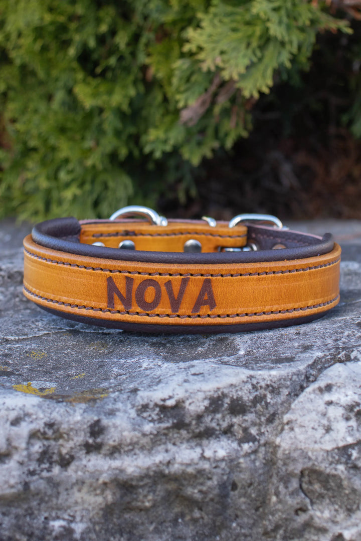 Artisan Series - Deluxe 1 inch wide Collar with Font