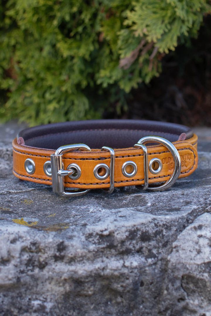 Artisan Series - Deluxe 1 inch wide Collar with Font