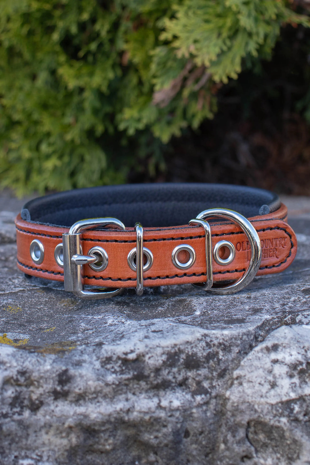 Artisan Series - Deluxe 1 inch wide Collar with Font