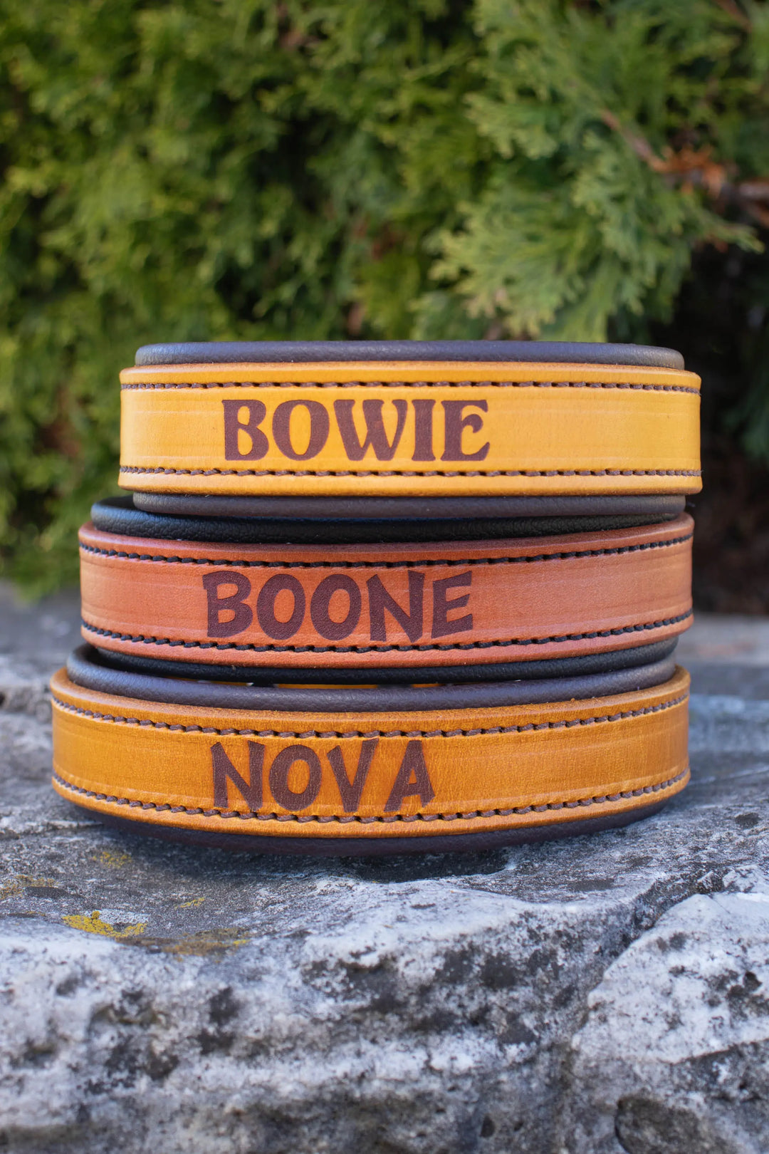 Artisan Series - Deluxe 1 inch wide Collar with Font