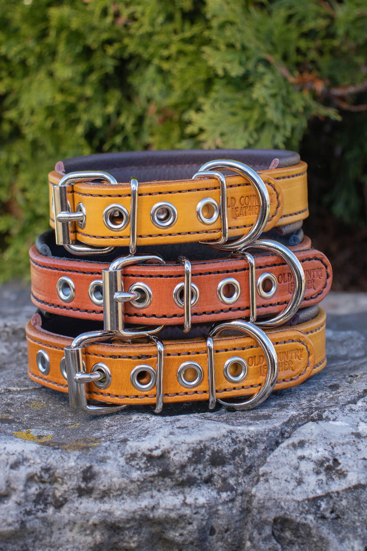 Artisan Series - Deluxe 1 inch wide Collar with Font