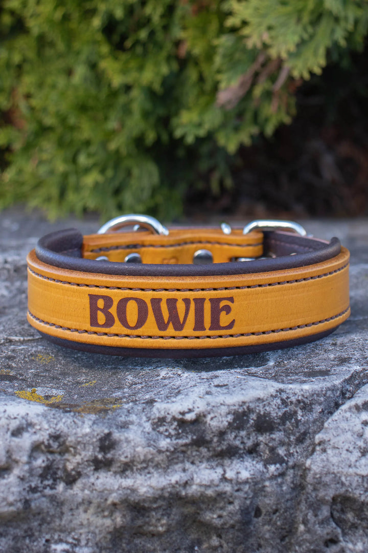 Artisan Series - Deluxe 1 inch wide Collar with Font