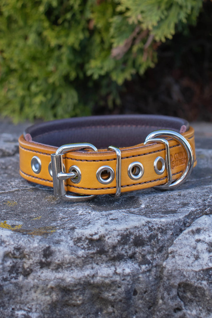 Artisan Series - Deluxe 1 inch wide Collar with Font