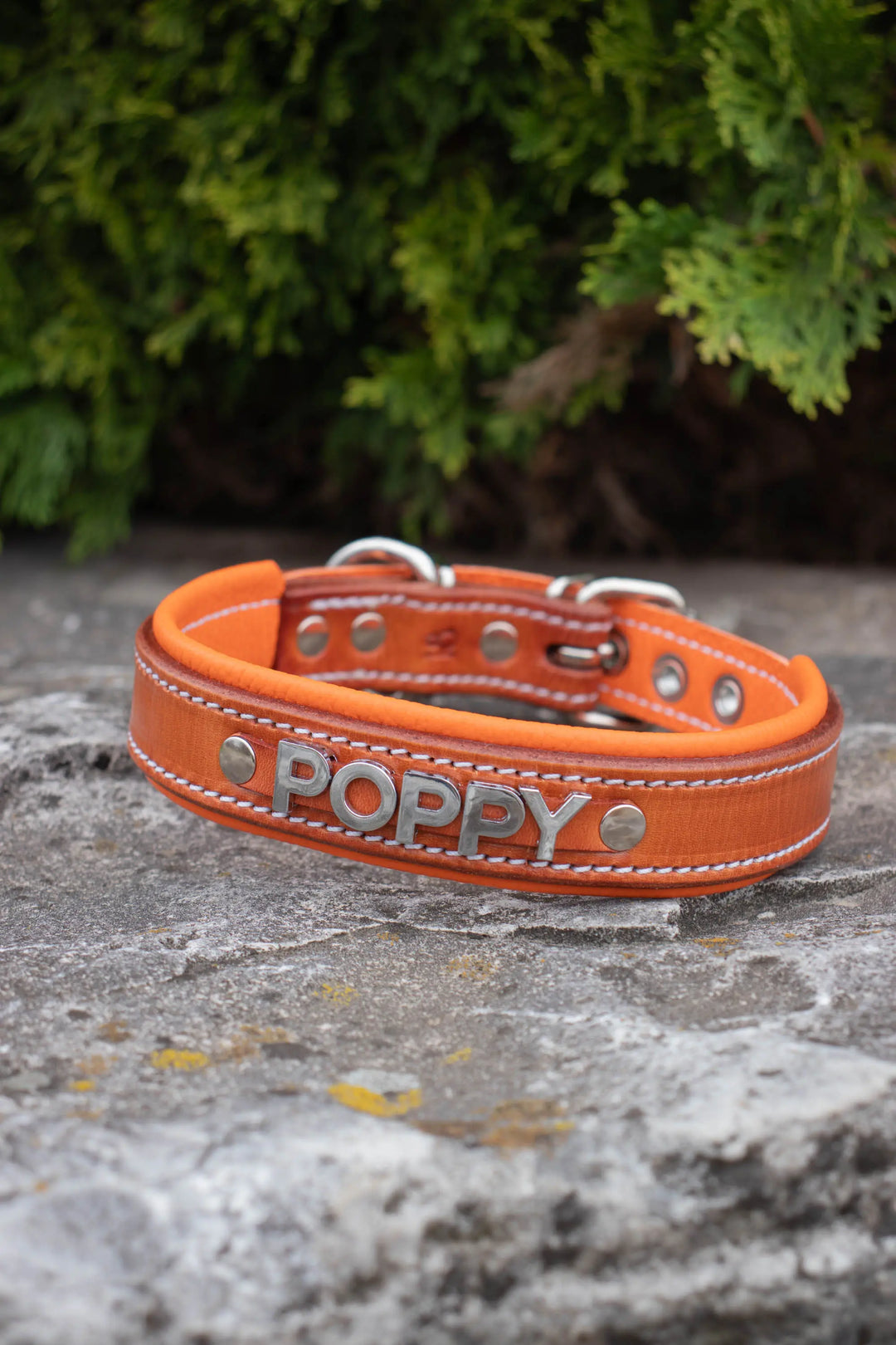 Artisan Series - Deluxe 1 inch wide Collar with Metal Font.