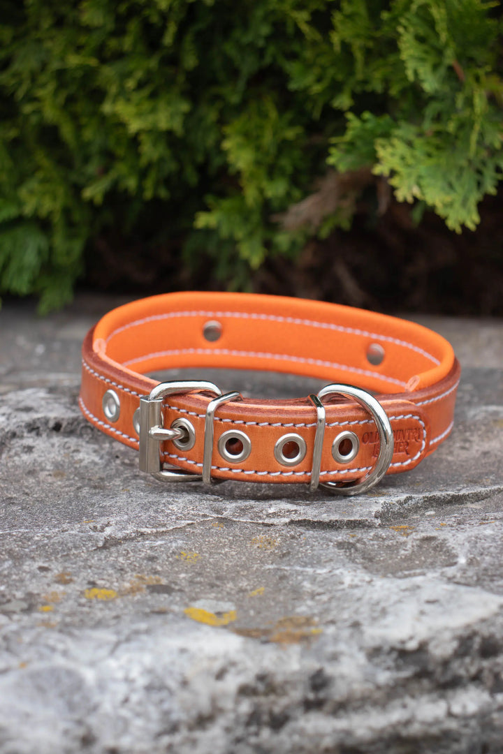 Artisan Series - Deluxe 1 inch wide Collar with Metal Font.