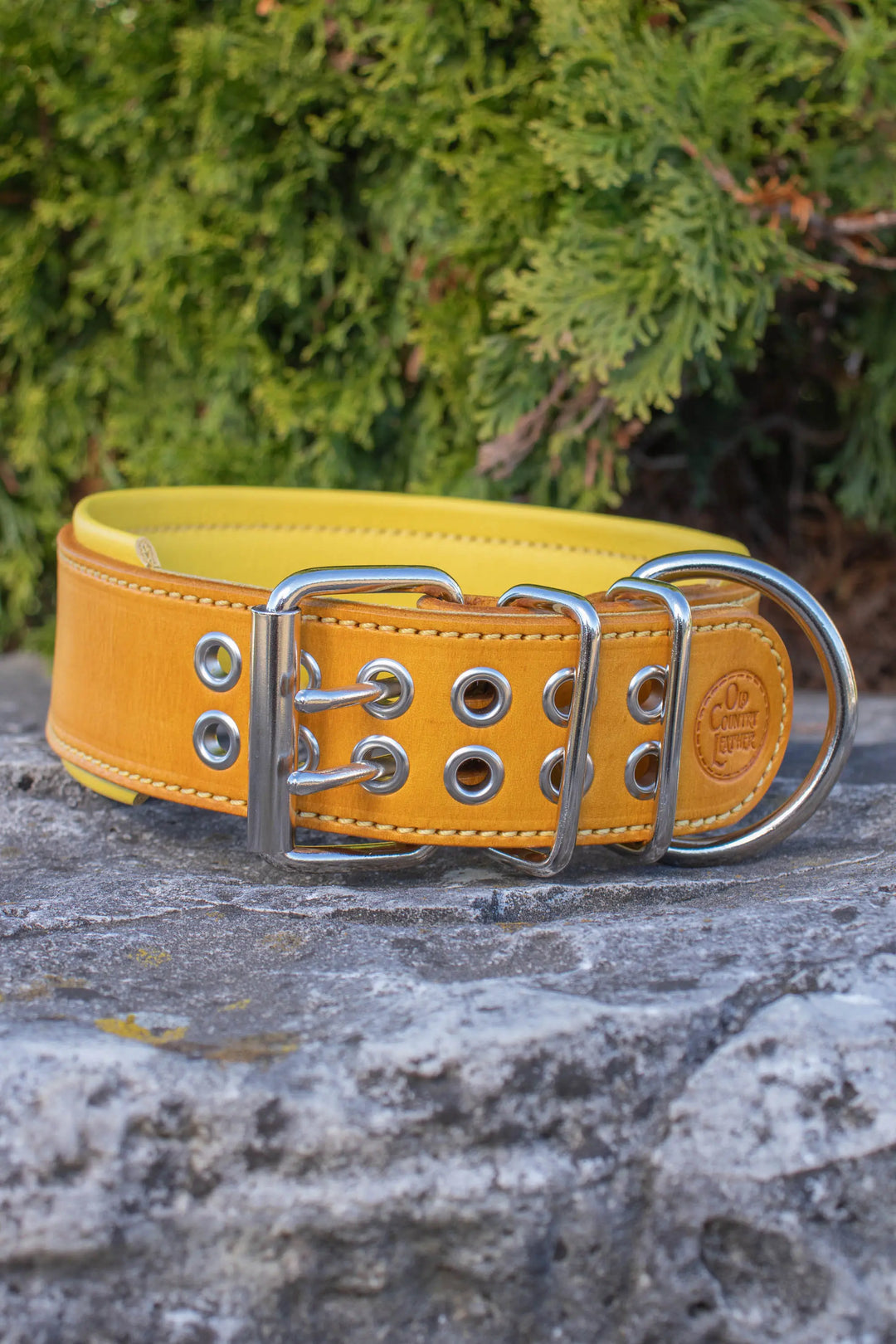 Artisan Series - Deluxe 2 inch wide Collar with No Font.