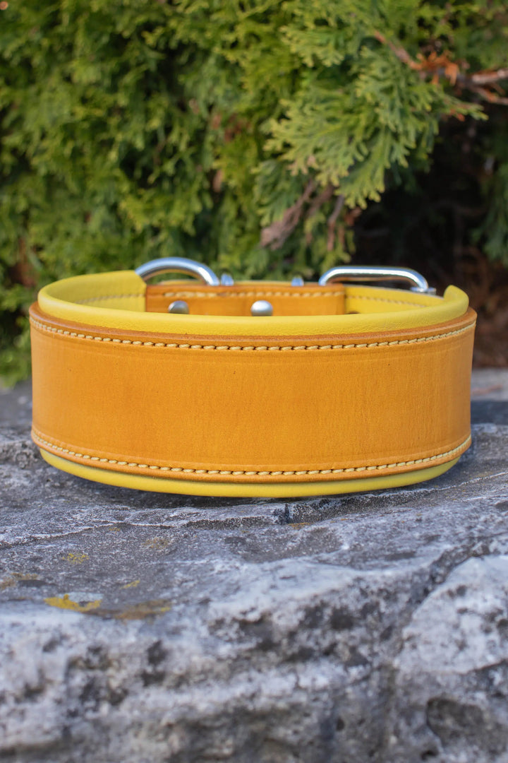 Artisan Series - Deluxe 2 inch wide Collar with No Font.