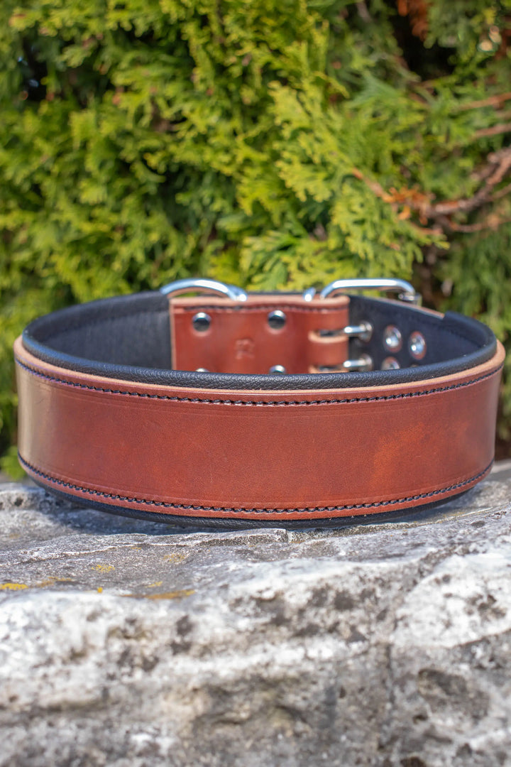 Traditional Series - Deluxe 2 inch wide Collar.