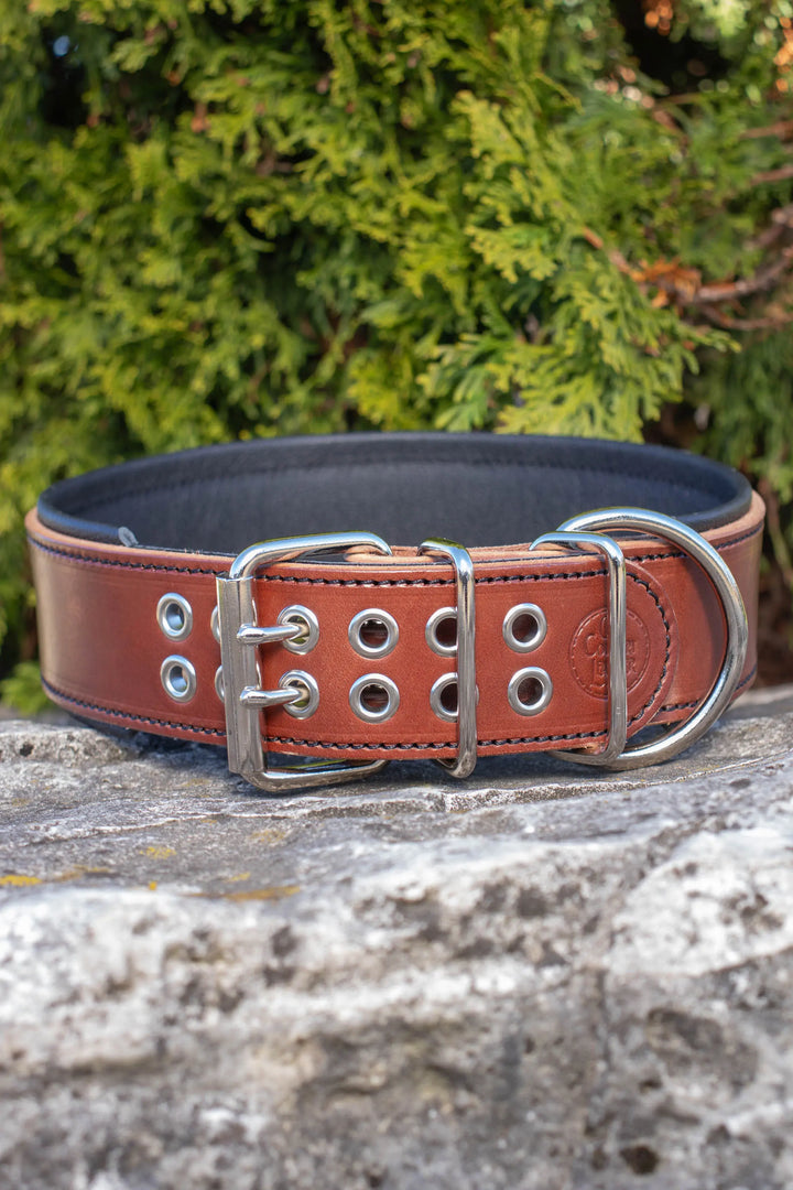 Traditional Series - Deluxe 2 inch wide Collar.