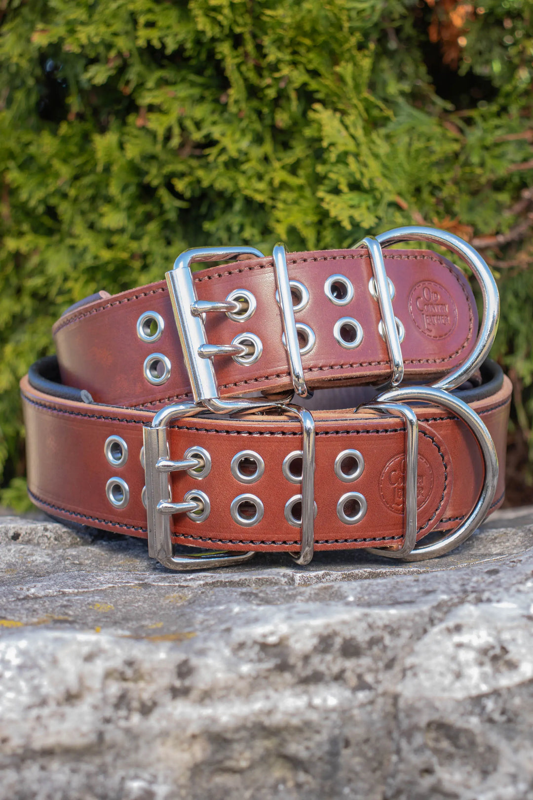 Traditional Series - Deluxe 2 inch wide Collar.