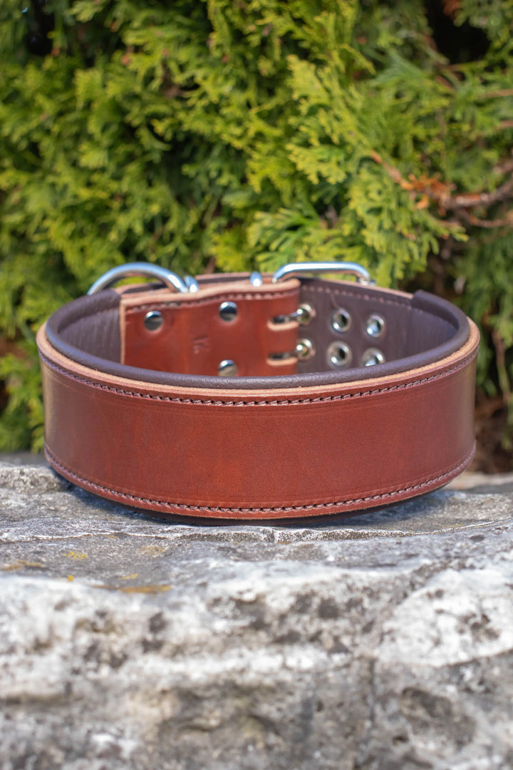 Traditional Series - Deluxe 2 inch wide Collar.