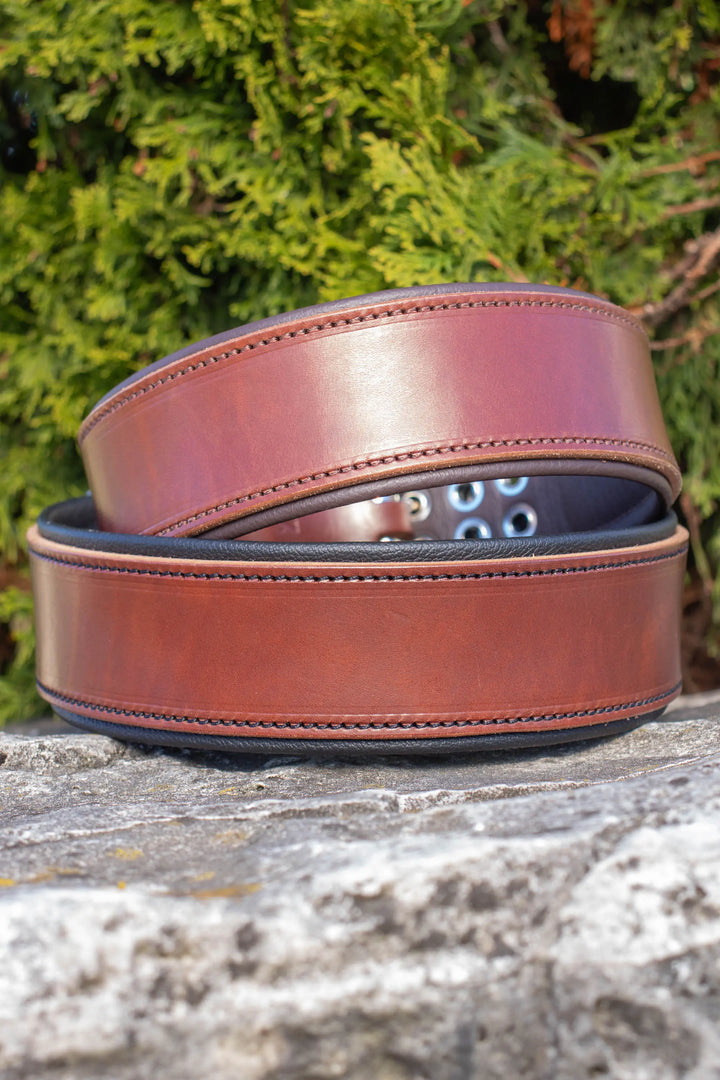 Traditional Series - Deluxe 2 inch wide Collar.
