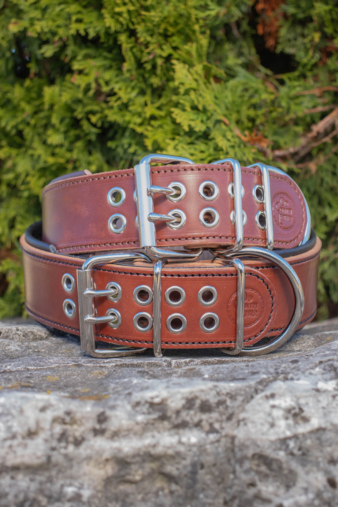 Traditional Series - Deluxe 2 inch wide Collar.