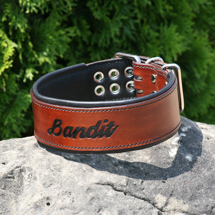 Artisan Series - Deluxe 2 inch wide Collar with Font.