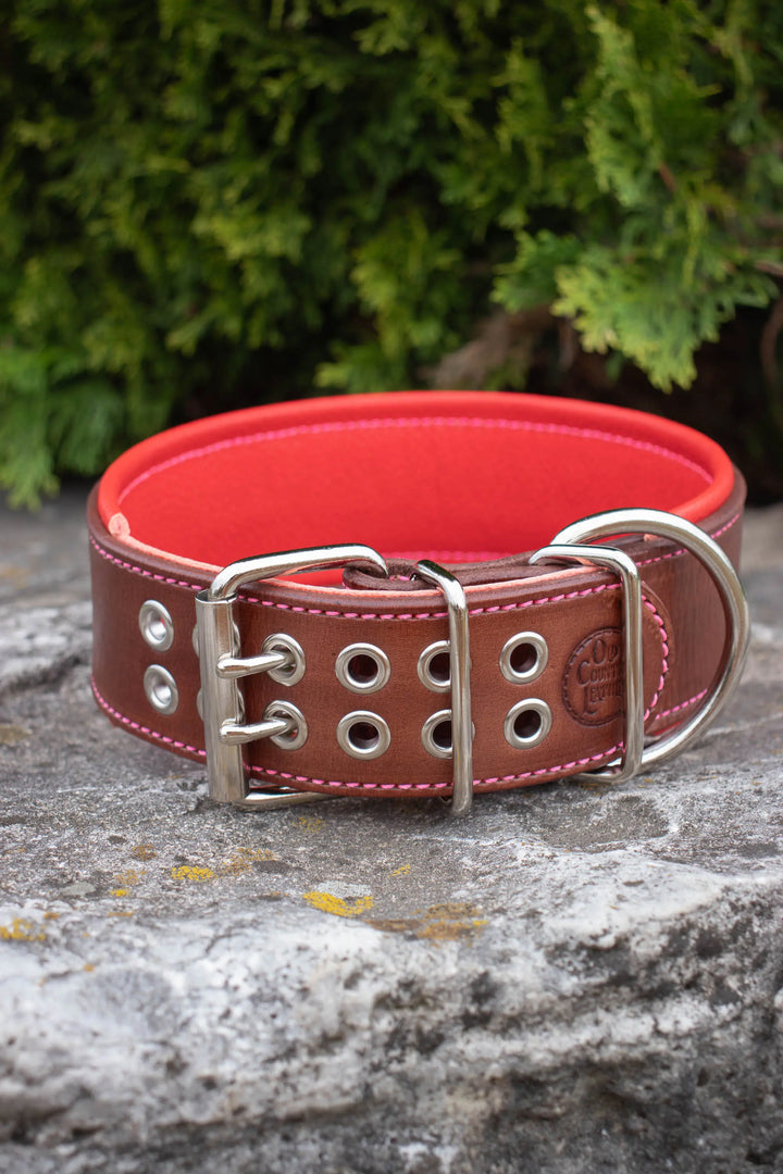 Artisan Series - Deluxe 2 inch wide Collar with Font.