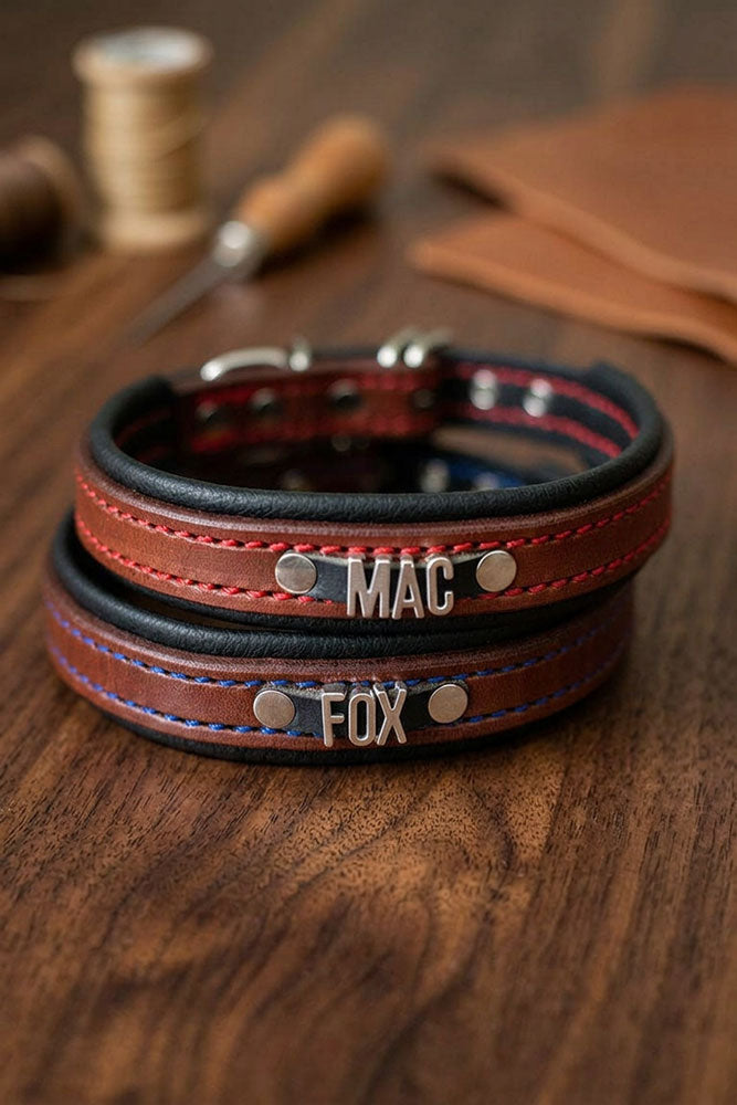 Artisan Series - Deluxe 5/8 inch wide Collar with Metal Font