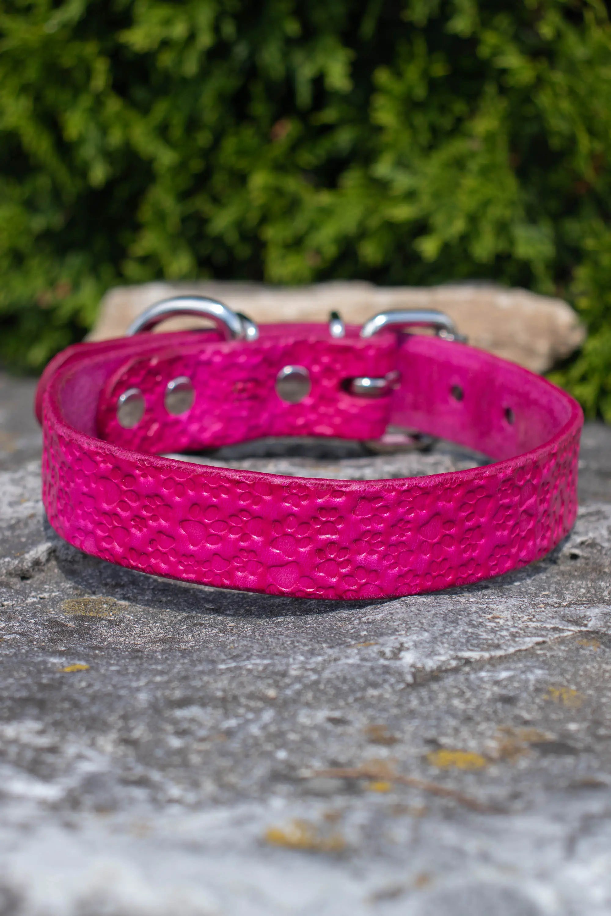 1 Inch Leather Dog Collar - Paw Print & Bone Patterns | 13 Colors | Old ...