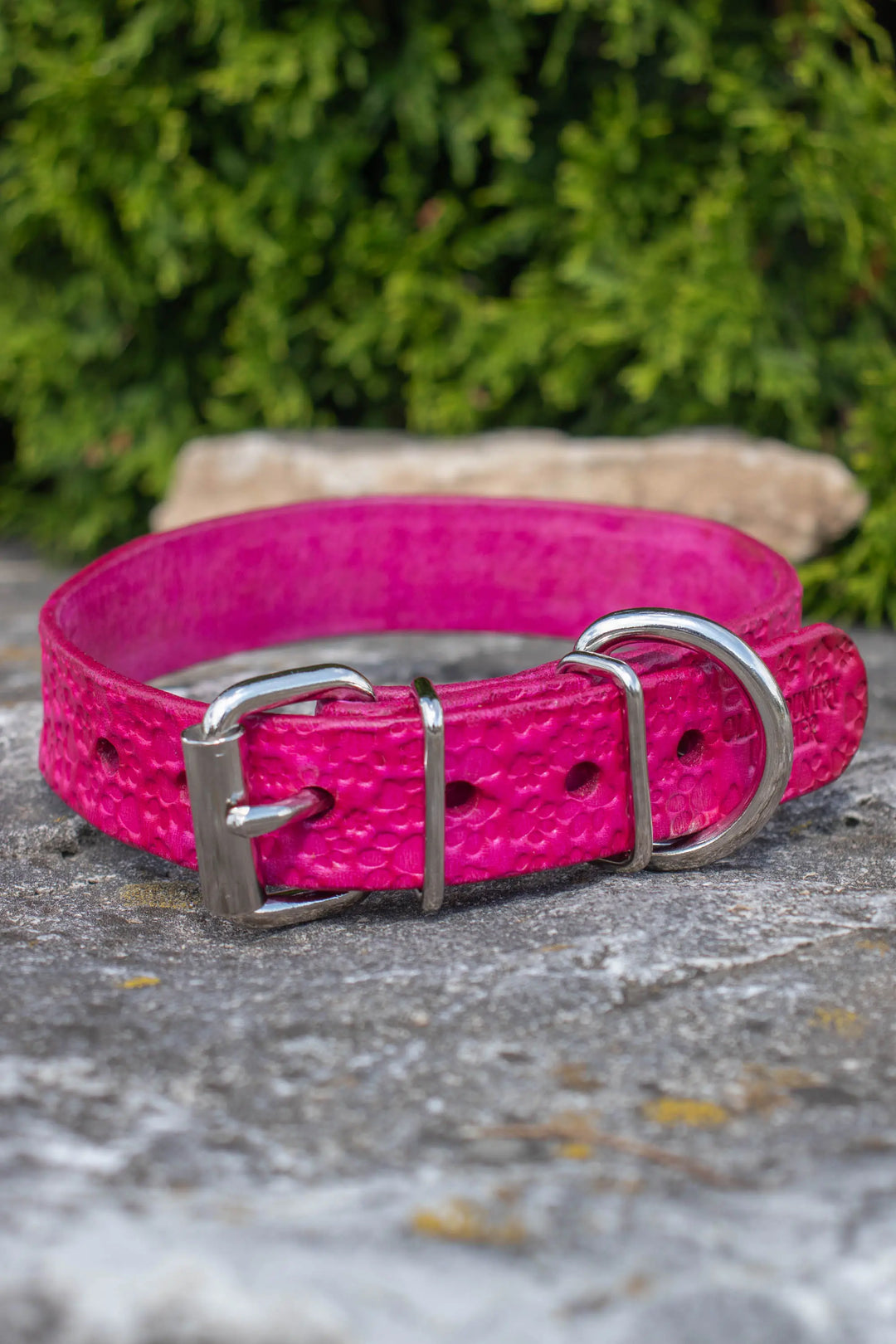 Artisan Series - Classic 1 inch wide collar with patterns