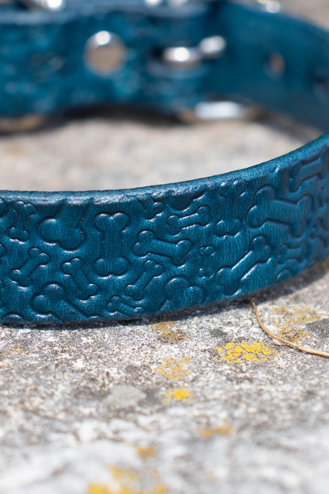 Artisan Series - Classic 1 inch wide collar with patterns