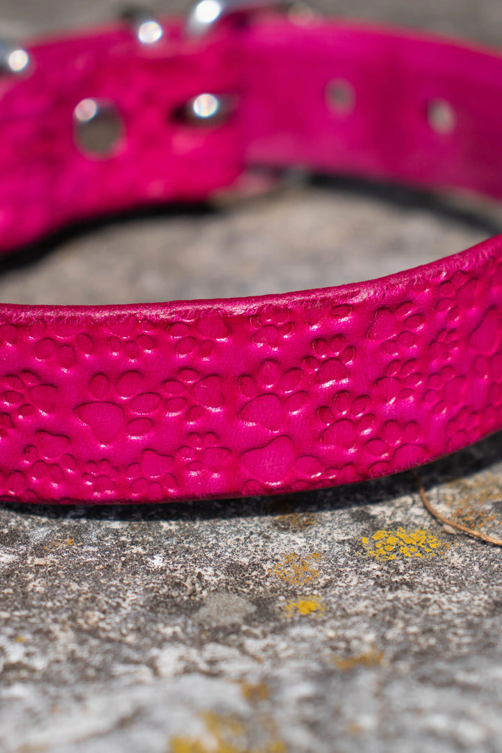 Artisan Series - Classic 1 inch wide collar with patterns
