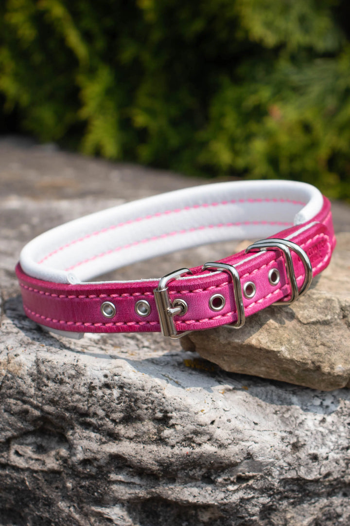 Artisan Series - Deluxe 5/8 inch wide Collar with No Font