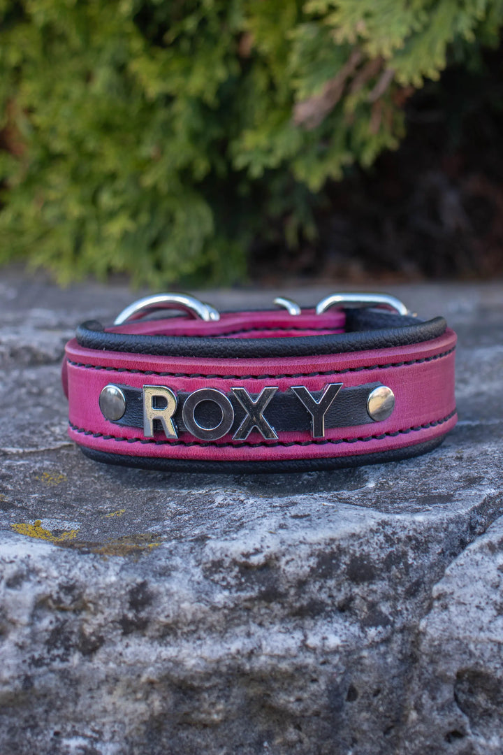 Artisan Series - Deluxe 1 inch wide Collar with Metal Font.